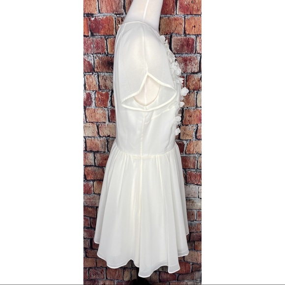 Ted Baker London Just For You 3D Floral Flowers Ivory Skater Dress Size 4 Tulle - Picture 3 of 7